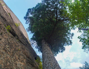 wonderful landscape of high rock and nice big tree