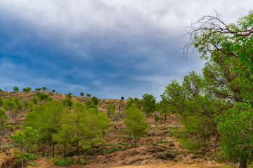 Fototapeta na wymiar landscapes near the town of Alhabia