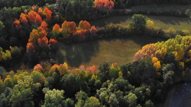 bosque oto&ntilde;o autumn arboles huesca arag&oacute;n pirineos