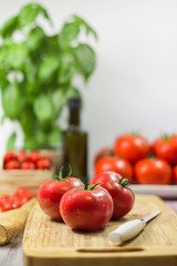 tomatoes with herbs selective focus