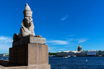 Fototapeta na wymiar Sphinx on the Neva embankment.