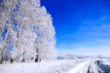 Country road in snow winter landscape. Snowy country lane Nature