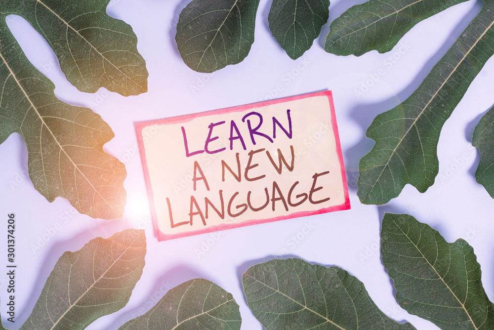 Poster text sign showing learn a new language. business photo showcasing study words other than the native 