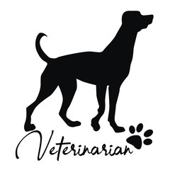  Veterinarian, black dog, vector illustration