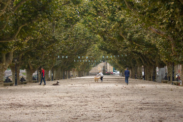 Beautiful alley with wide road and trees and walking people. Walking people and dogs in park. Avenue with crown of tree leaves. Park with festive decoration and people. Summer street in spanish town. 