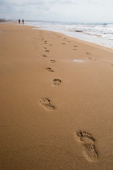 footprints on a beach