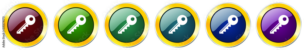 Poster key glossy icon set, silver metallic golden vector illustrations in 6 options for web design and mob