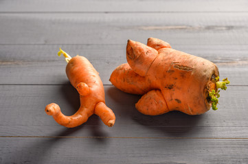 Ugly carrots concept on gray wooden table. Copy space