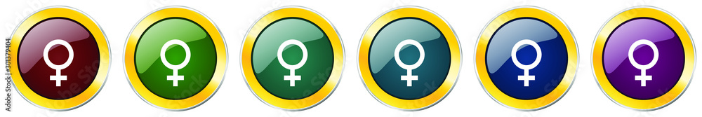 Poster female glossy icon set, silver metallic golden vector illustrations in 6 options for web design and 