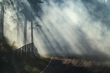 Misty view of racetrack located in deep forest. Racetrack located in Europe-Latvia-Biķernieki. The...