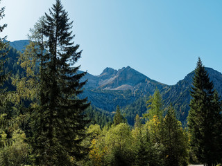 Österreich Landschaft in Tirol. Wanderungen und Bergtouren in Gerntal von Pertisau nach Pletzach-Alm und Gernalm durch Pletzachloipe und Gernalmloipe bis Alpengasthof Gern Alm