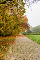 Fototapeta na wymiar Beautiful autumn landscape with yellow trees and sun