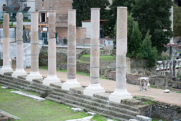 view of the roman forum in rome