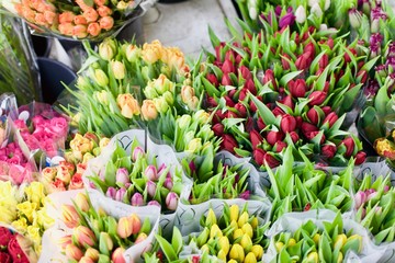 Tulips for sale on a market