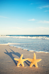 Fototapeta na wymiar Two romantic starfish in love standing together holding hands and casting golden sunset shadows down a tropical beach