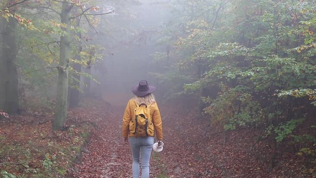 Woman hiking in nature. Misty morning in autumn forest. Handheld footage
