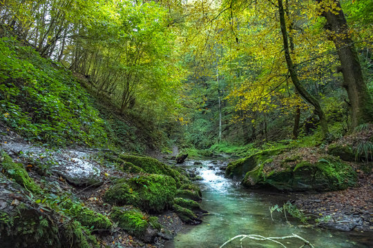 Ehrbachklamm, Deutschland, Rheinland-Pfalz, Traumschleife