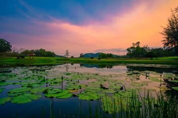 Beautiful golf course with sunrise in the morning, Sattahip Chonburi