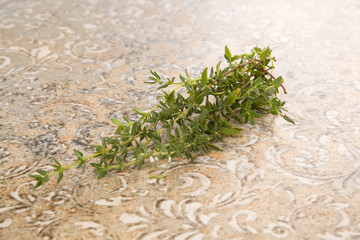 Fresh thyme herb.