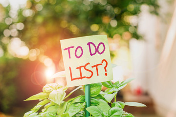 Handwriting text writing To Do List Question. Conceptual photo Series of task to be done organized in priority order Plain empty paper attached to a stick and placed in the green leafy plants