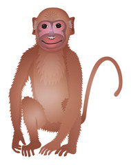 Cute cartoon monkey isolated on a white background. Vector illustration.