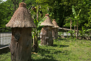 Fototapeta na wymiar Unusual bee farm with cone-shaped houses among green meadows
