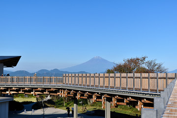 Fototapeta na wymiar 日本平から見る富士山
