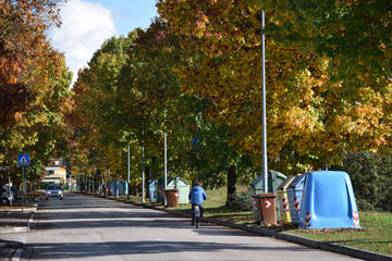 Tree-lined avenue in autumn ft9111_0372 Avenida arbolada en otoño - obrazy, fototapety, plakaty