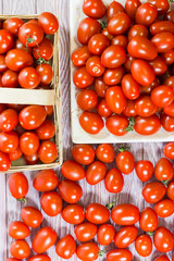 CHERY TOMATOES ON BOARDS ON WHITE BACKGROUND