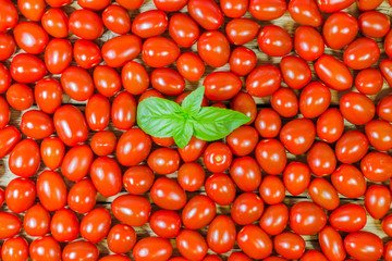 CHERY TOMATOES ON BOARDS ON WHITE BACKGROUND