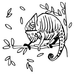 Cute striped sleepy chameleon sitting on a branch with leaves vector illustration with black contour lines isolated on white background in hand drawn style. Emotion, indifference, calm.