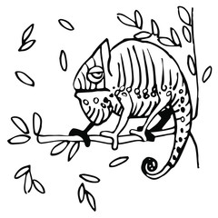 Naklejka premium Cute striped sleepy chameleon sitting on a branch with leaves vector illustration with black contour lines isolated on white background in hand drawn style. Emotion, indifference, calm.