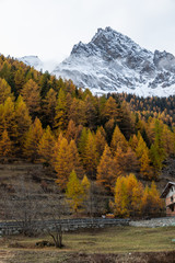 Autumn Foliage Mountain Landscape Nature Trees Travel Aosta Valley Italy