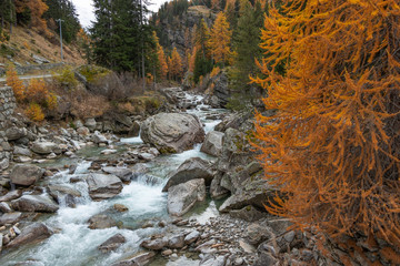 Autumn Foliage Mountain Landscape Nature Trees Travel Aosta Valley Italy