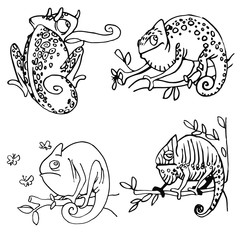 set of cute phlegmatic chameleons on a branch with leaves and insects vector illustration with black contour lines isolated on white background in hand drawn style. Emotion, indifference, calm.