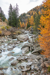 Autumn Foliage Mountain Landscape Nature Trees Travel Aosta Valley Italy