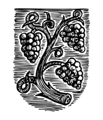 Symbol of winemakers, coat of arms with grapes, linocut