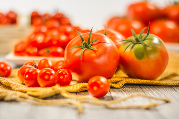 CHERY TOMATOES ON BOARDS WITH SPICES ON WHITE BACKGROUND