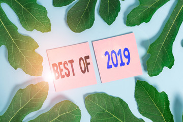 Text sign showing Best Of 2019. Business photo text great and marvelous things and events happened on 2019 Leaves surrounding notepaper above an empty soft pastel table as background