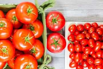 CHERY TOMATOES ON BOARDS WITH SPICES ON WHITE BACKGROUND