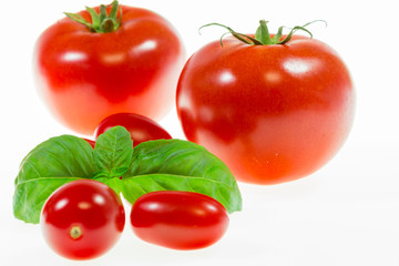 chery tomatoes on a white background with spices