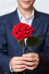 Red rose in the hands of a teenager. The boy is dressed in a blue suit and white shirt.