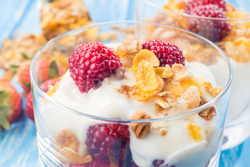 Homemade vanilla granola parfait with strawberry