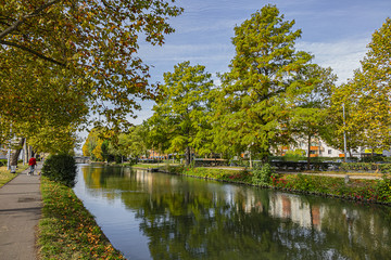 Obraz premium Beautiful autumn views of Canal du Midi (in XVII century - Royal Canal in Languedoc) in Toulouse and trees reflection in water. Toulouse, Haute-Garonne, France.