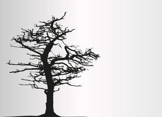 Baum Silhouette auf hellgrauen Grund
