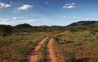 Fototapeta premium Africa Landscape