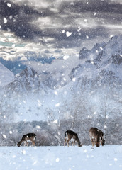 Fairy-tale picture with deer in winter