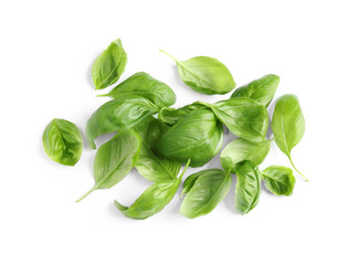 Pile of fresh basil leaves isolated on white
