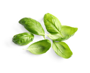 Fresh green basil leaves isolated on white