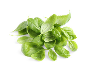 Pile of fresh basil leaves isolated on white
